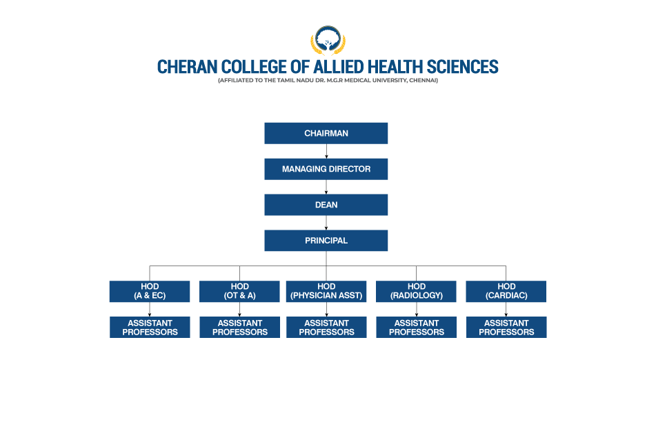 Organogram chart